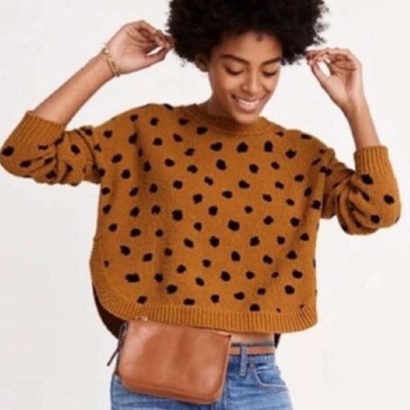 Madewell Sweaters - Madewell Women's Painted Spots Animal Print Leopard Pullover Sweater Sz L AC279